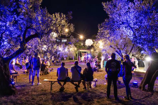 Fažana: Održana manifestacija "Rapsodija u plavom"