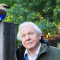 Sir David Attenborough, šaptač ranjenoj Zemlji: Posljednji poziv u pomoć planetu koji vrišti...