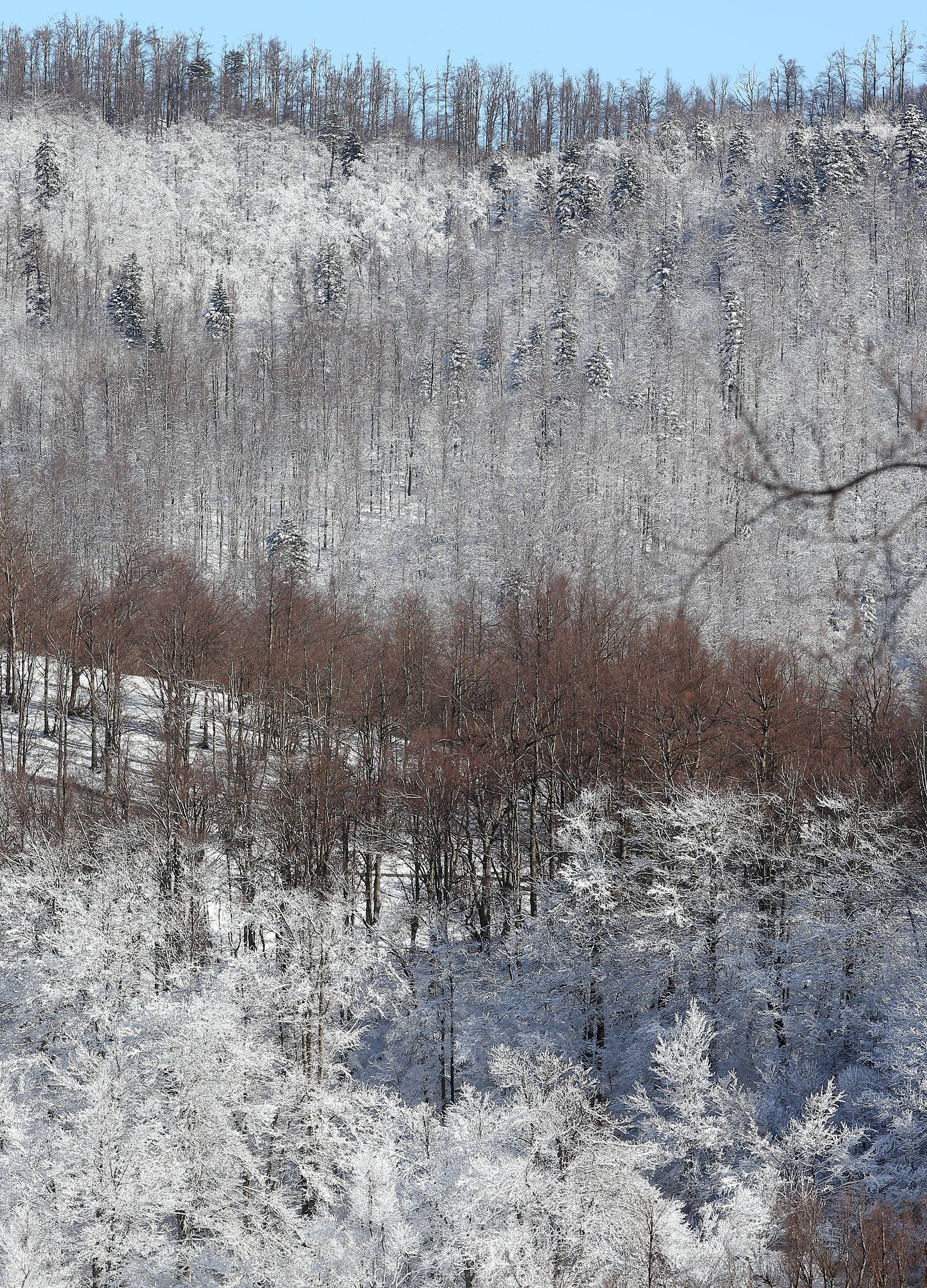 Fotografije Gorskog kotara pod snijegom izgledaju kao iz bajke