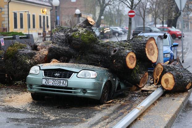 Zagreb: Nevrijeme srušilo stablo koje  je palo na automobil 
