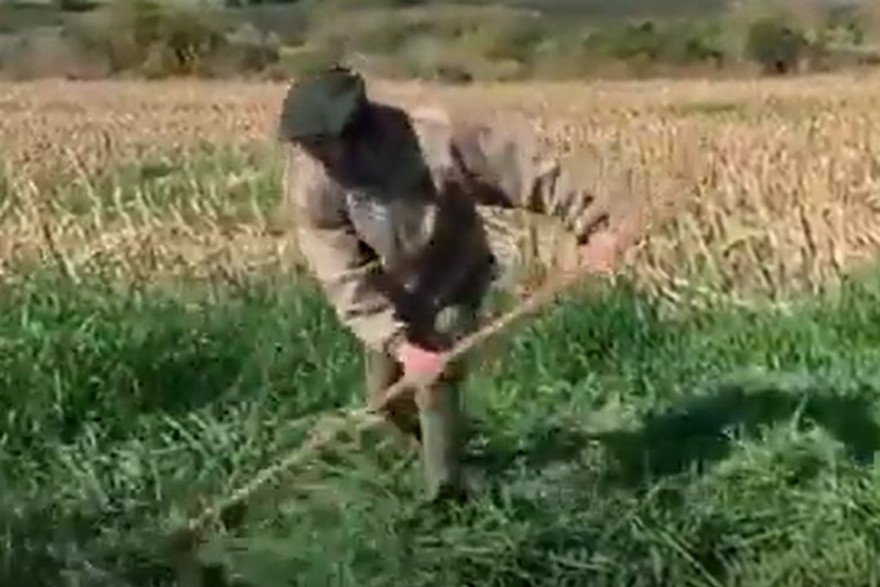 Cavani farmer