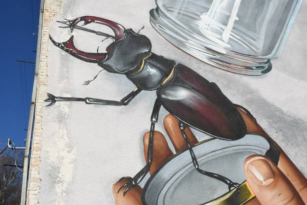 Sisak: Mural "Off you go" svakog dana sve više propada