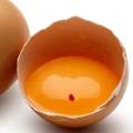 Znate li zašto se u nekim jajima nalazi  crvena mrlja i što je to?