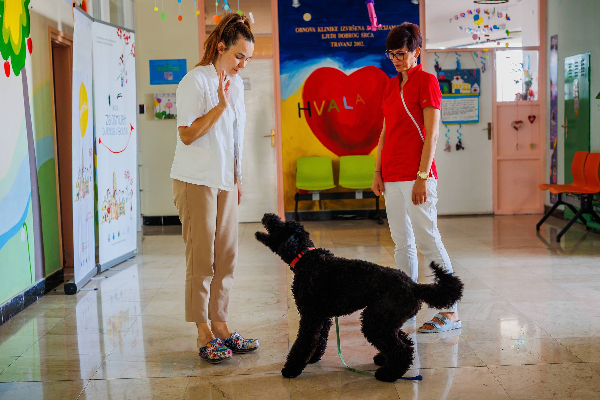 Split: Terapijski pas Dora i terapeutkinja Matea Vidak