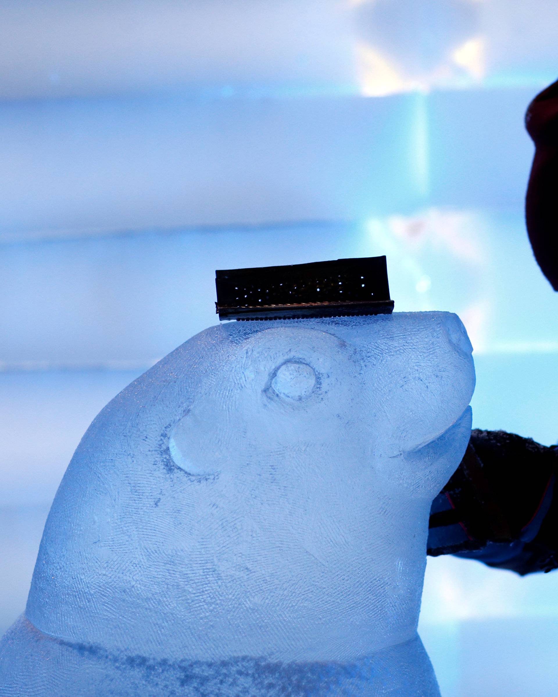 A sculptor carves a sculpture depicting a seal at the Snow and Ice Sculpture Festival "Eiswelt Mainz" in Mainz
