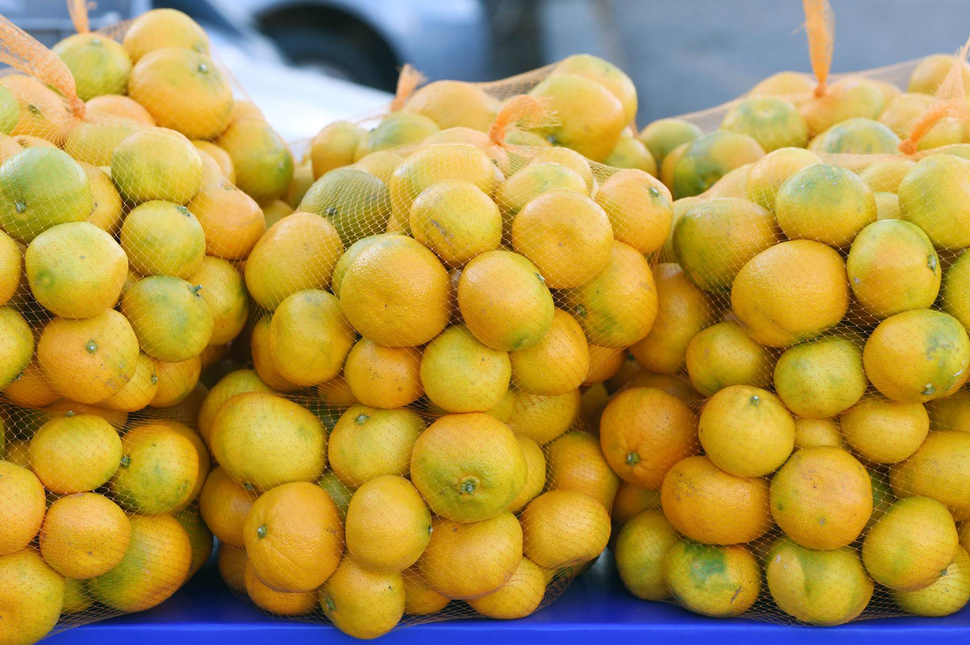 Prodaja mandarina iz doline Neretve na štandovima u Šibeniku