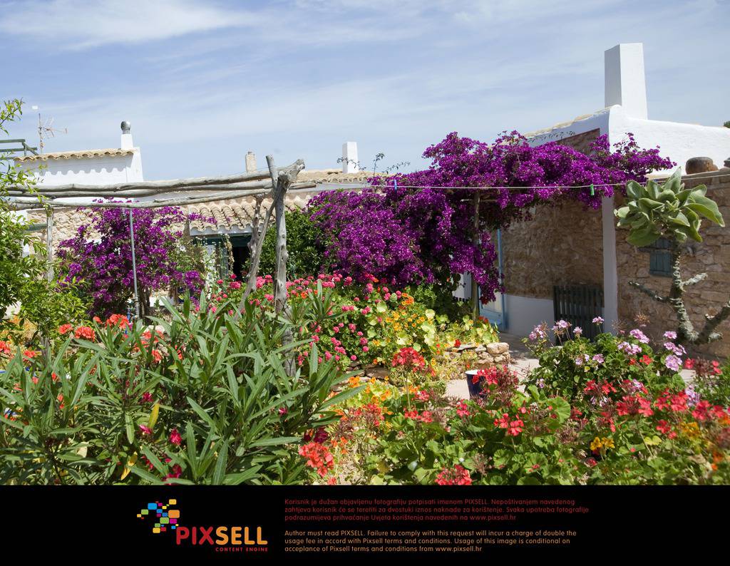 Pixsell