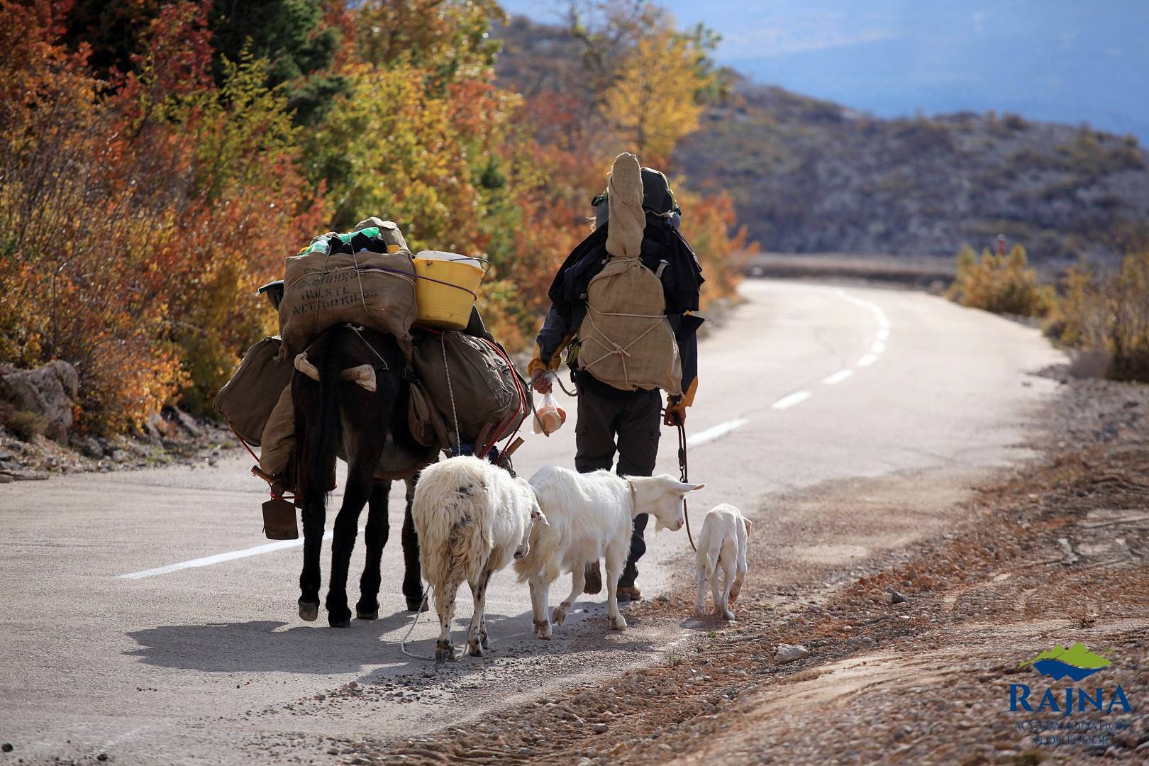 Frajer putuje s magarcem