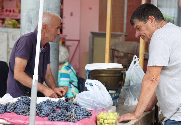 Šibenik: Ponuda vo?a i povr?a na šibenskoj tržnici
