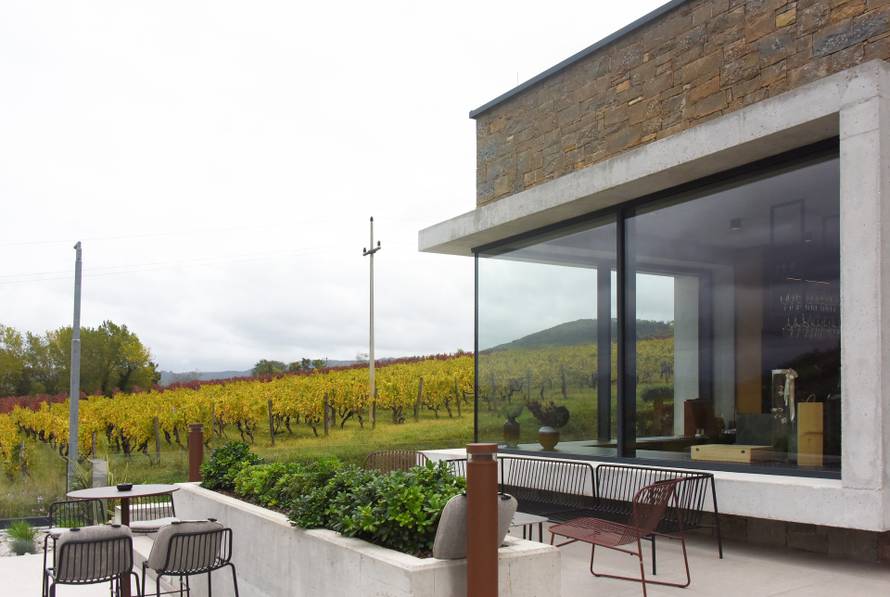 Vinarija Tomaz u Motovunu