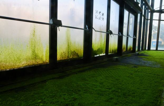 Split: Započelo čišćenje Spaladium Arene