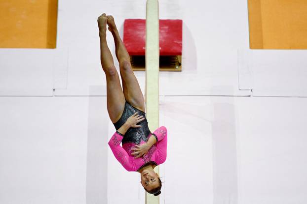 2025 World Artistic Gymnastics Championships