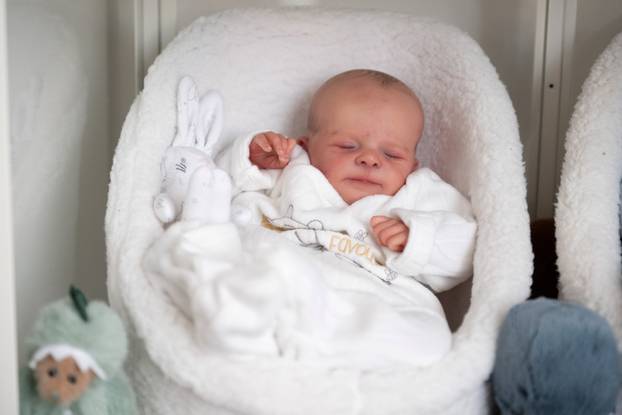 Couple are 'mum' and 'dad' to 13 fake babies - change their nappies, take them out in a pram and say it is preparing them for parenthood