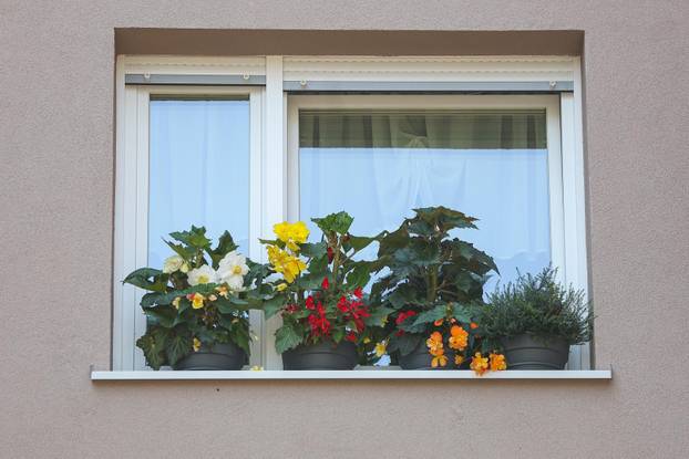 Zagreb: Jasenka Marija Kaštelan ima najljepši vrt na balkonu i ispred zgrade 