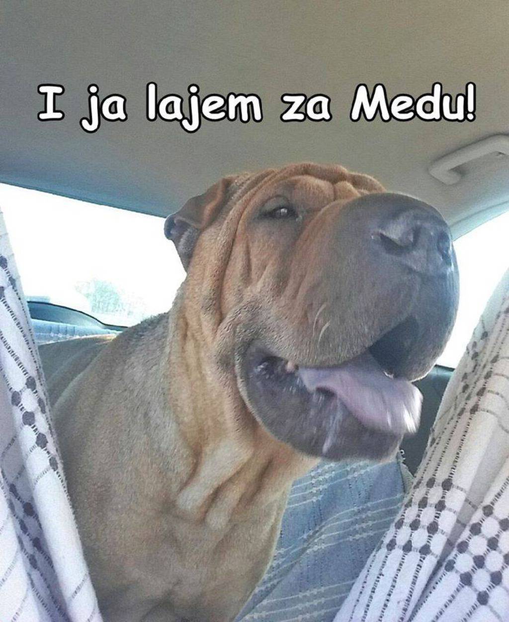 Podrška za Medu/Facebook