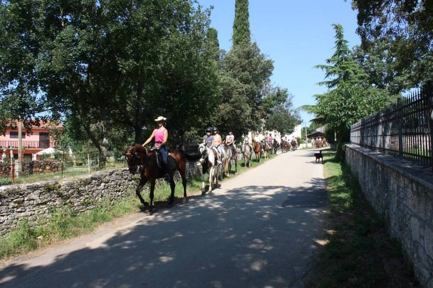 Istra: Djeca uživaju u prirodi i jahanju nakon karantene i potresa i ne žele se vratiti kući