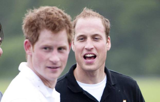 Princes at charity polo match