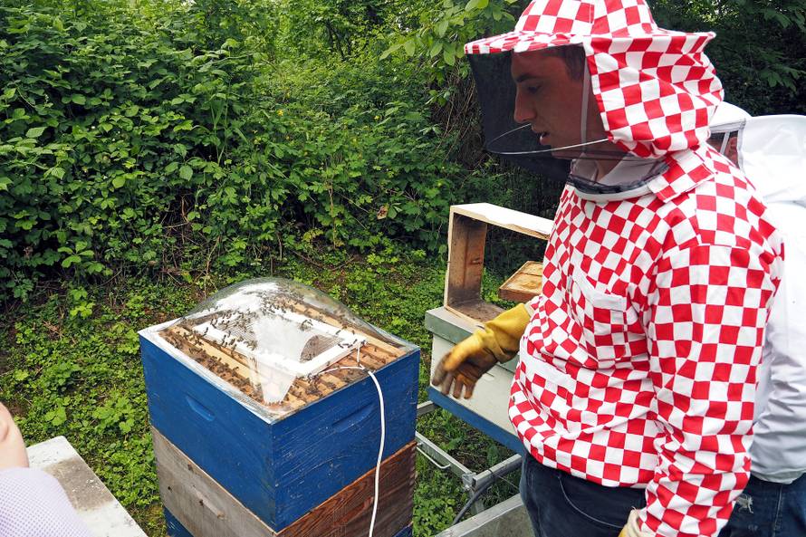 Od otrova mojih pčela radim kreme protiv bora i bolova