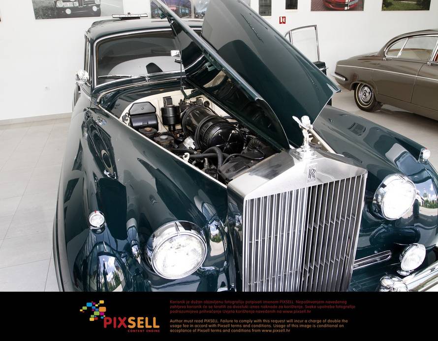 Marko Mrkonjić/PIXSELL