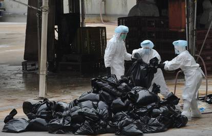 Virus ptičje gripe iz Kine još nije prenosiv među ljudima