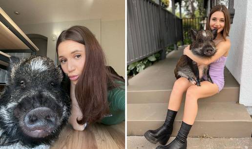 VIDEO Svinju Merlina prati vi&scaron;e od milijun ljudi. U&scaron;ao u knjigu rekorda: 'Spava u mom krevetu'