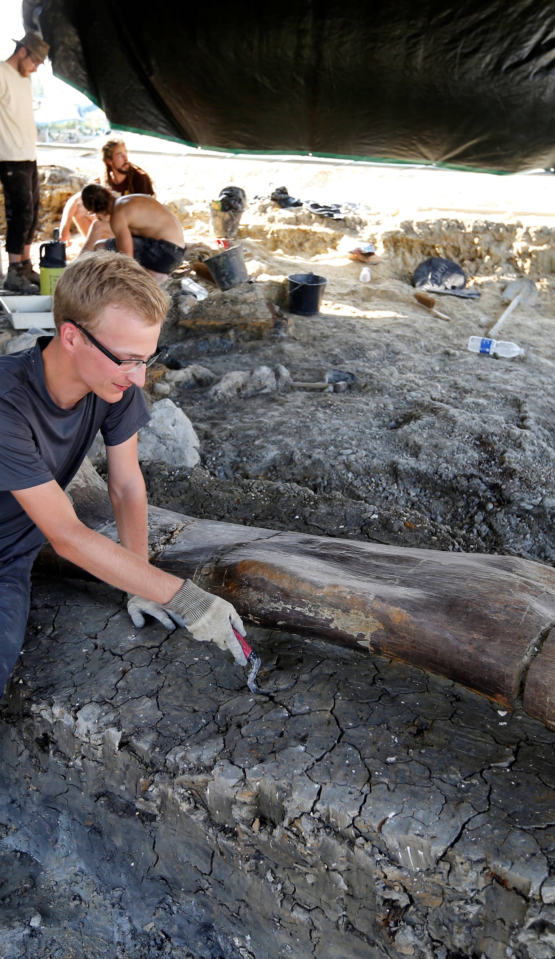 Pronašli iznimno očuvanu kost dinosaura: 'To je veliko otkriće'