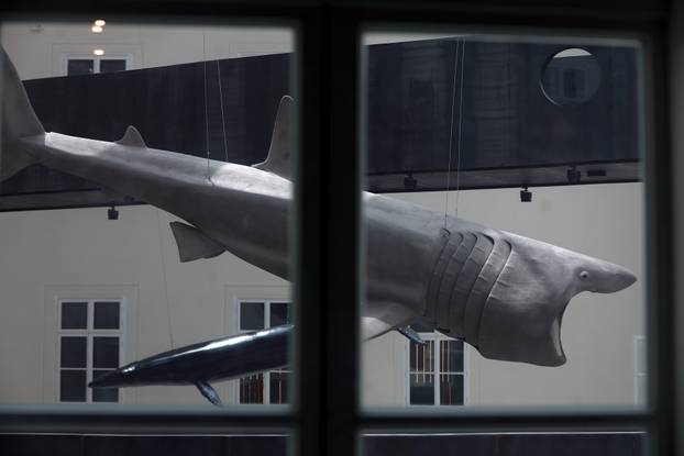 Zagreb: Završen je projekt Čuvar baštine Hrvatskog prirodoslovnog muzeja