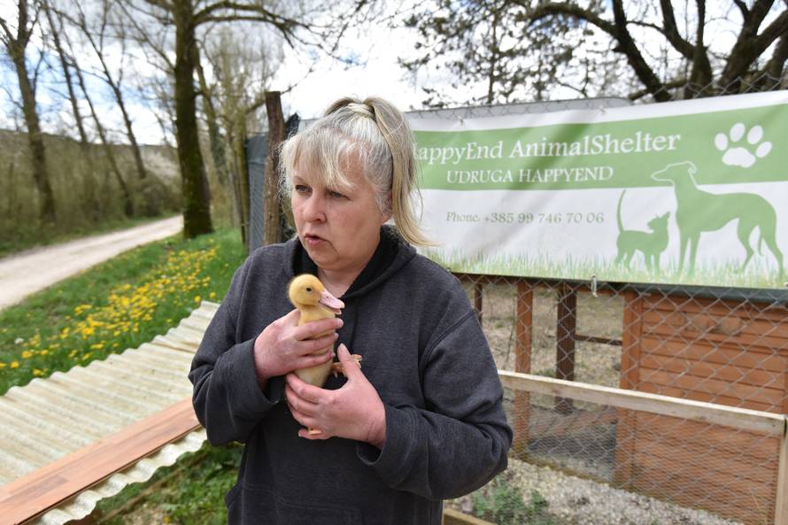 Kupila patke i spasila ih od lonca, a čuvaju ih psi iz azila