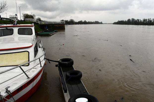 Slavonski Brod: Zbog obilnih kiša naglo raste vodostaj Save
