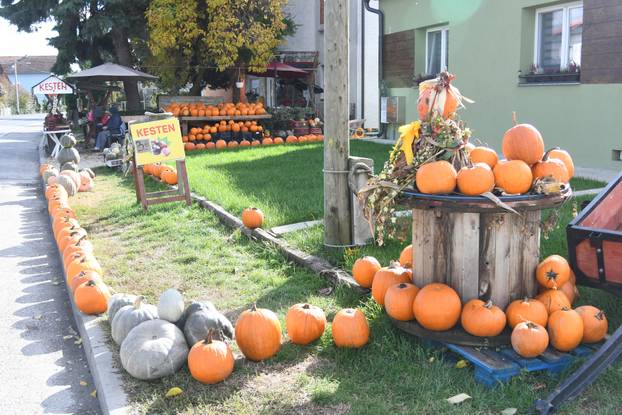 Čukovec: Selo jagoda pretvoreno je u selo bundeva