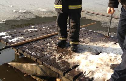 Vatrogasci spasili bigla koji je propao kroz led u Maksimiru 