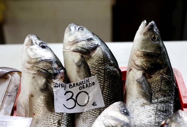 Šibenik: Skromna ponuda srdela i ostale ribe na ribarnici