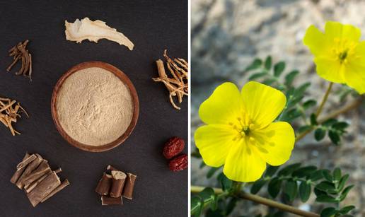 Ashwagandha i babin zub su odlični afrodizijaci za oba spola