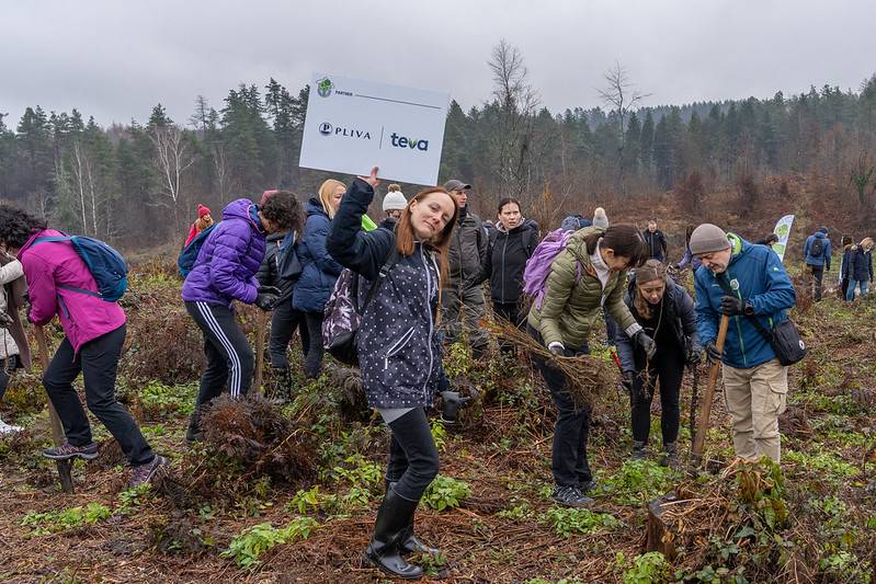 U godinu dana projekta Co2mpensating by planting posađeno preko 75,000 sadnica