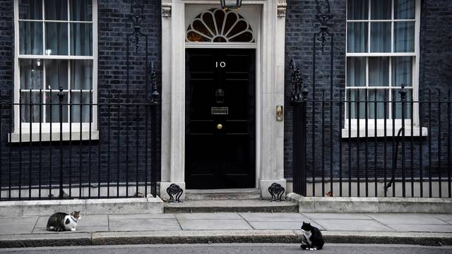 FILE PHOTO: Larry the Downing Street cat and Palmerston the Foreign Office cat square off outside British Prime Minister's official residence 10 Downing Street, London