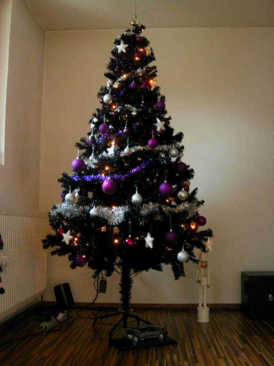 Šaljite fotografije božićnih jelki i osvojite vrijednu nagradu...