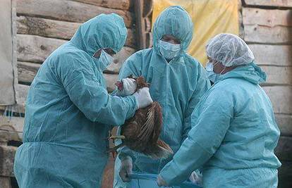 Opasan virus ptičje gripe našli na farmi kraj Berlina 