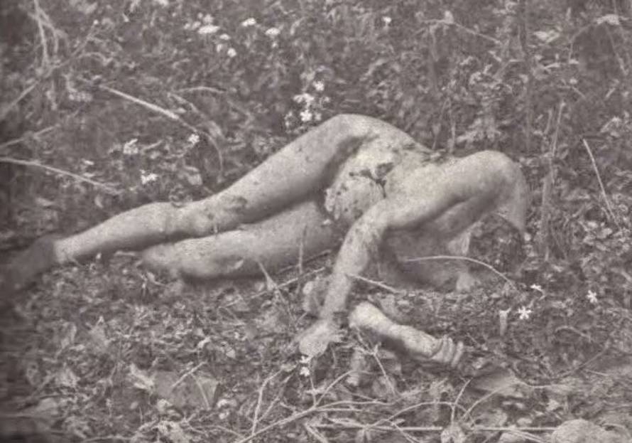 "In the Wake of the Butcher: Cleveland's Torso Murders"