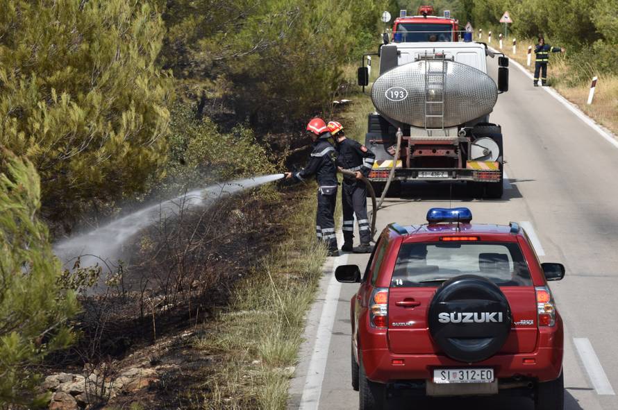 U Žaboriću gori borova šuma, vatrena stihija prijeti kućama