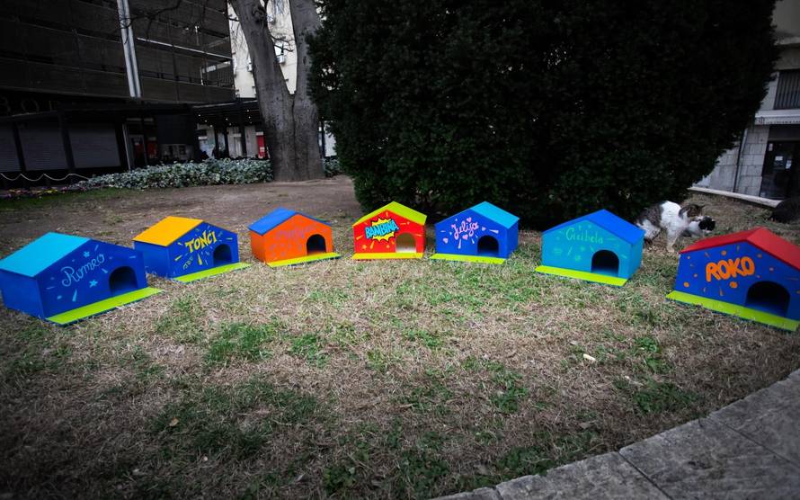 Dom za mace s kazalisne pjace