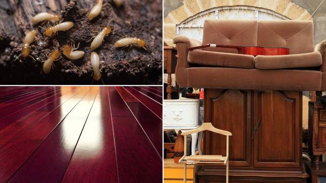 7 mjesta i stvari koje privlače termite u dom - provjerite ih
