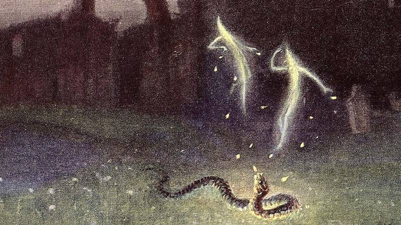 will o the wisp and snake by hermann hendrich 1823