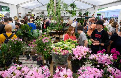 Posjetite Floraart na Bundeku