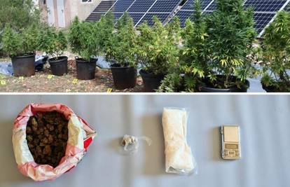 Policajci su na Hvaru našli plantažu marihuane, otkrili su i dilera speeda iz Trogira...