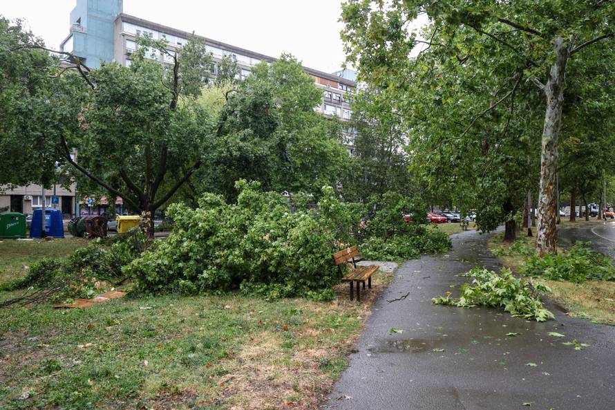 Zagreb: Vatrogasci uklanjaju stablo koje je palo u Ulici Svetog Mateja
