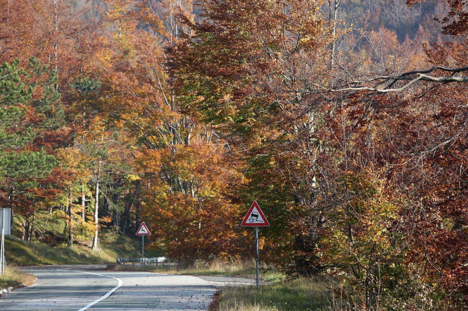 Boje jeseni u šumama Gorskog kotara