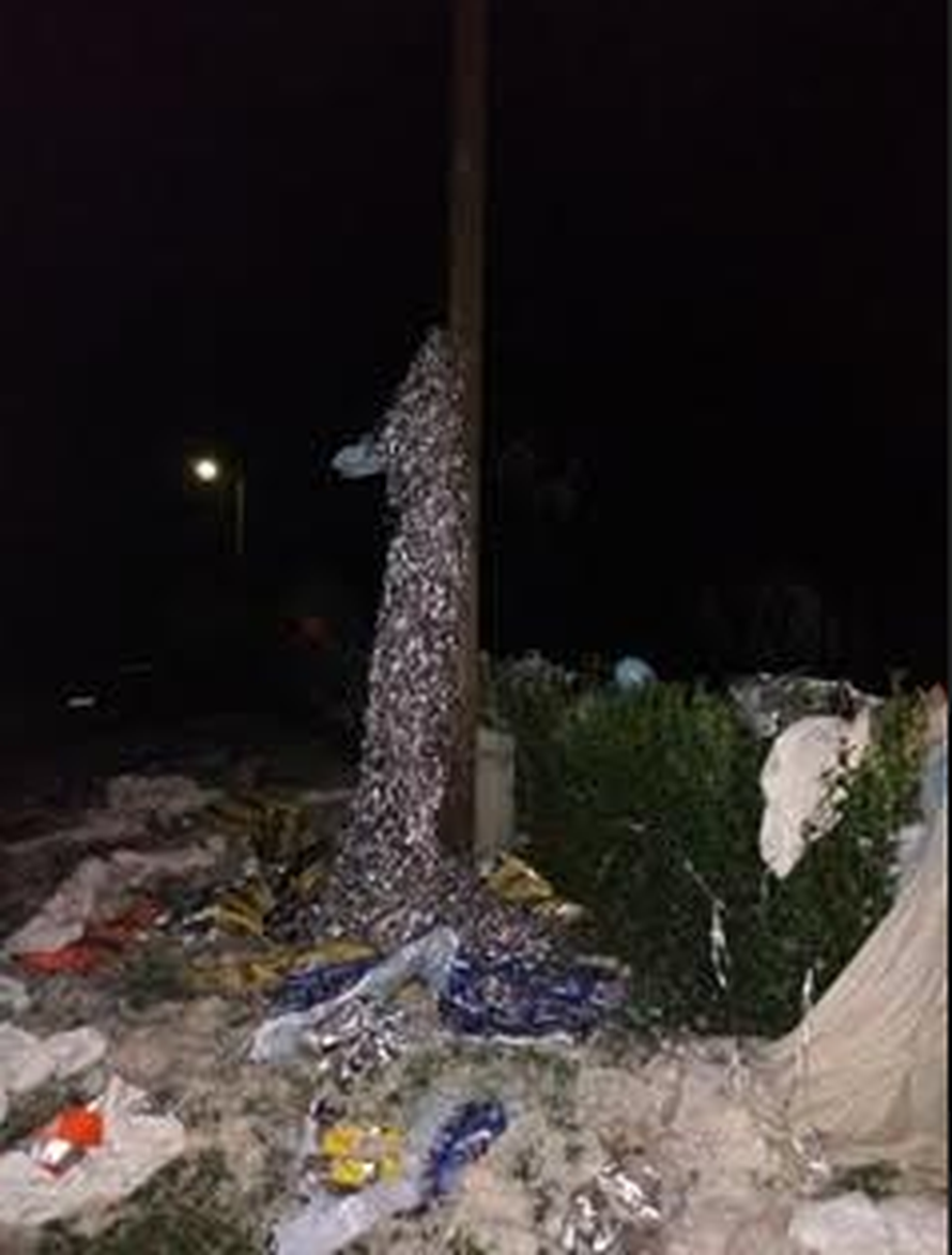 Dobrodošao Fran! Zatrpali su im kuću plastikom i krpama