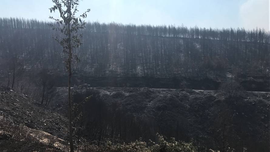 Piloti kanadera: Ovo je majka svih požara, to još nismo vidjeli