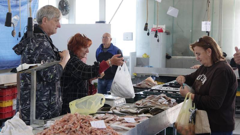 FOTO Cijene od 4 do 30 eura: Pogledajte raskošnu ponudu ribe na šibenskoj ribarnici