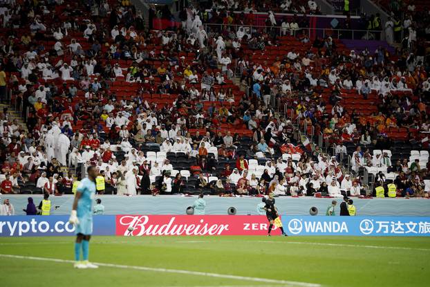 FIFA World Cup Qatar 2022 - Group A - Netherlands v Qatar